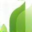 Icona Impegno green